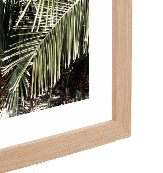 Puerta Framed Print