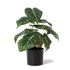 Anthurium Faux Potted Plant