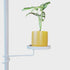 Plant Tray Accessory⎮White