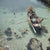 Slim Aarons | Snorkelling in the Shallows